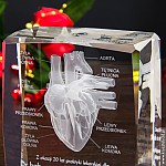 Widok z bliska na kryształ 3D 12x9x5 cm z wzorem anatomii serca